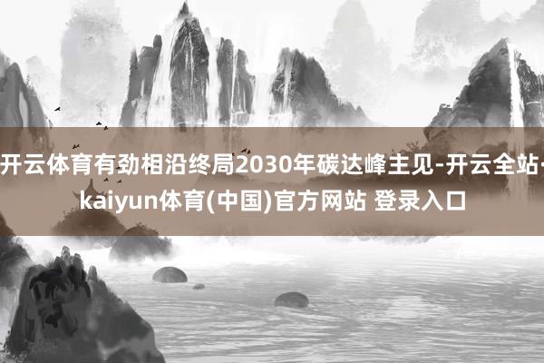 开云体育有劲相沿终局2030年碳达峰主见-开云全站·kaiyun体育(中国)官方网站 登录入口